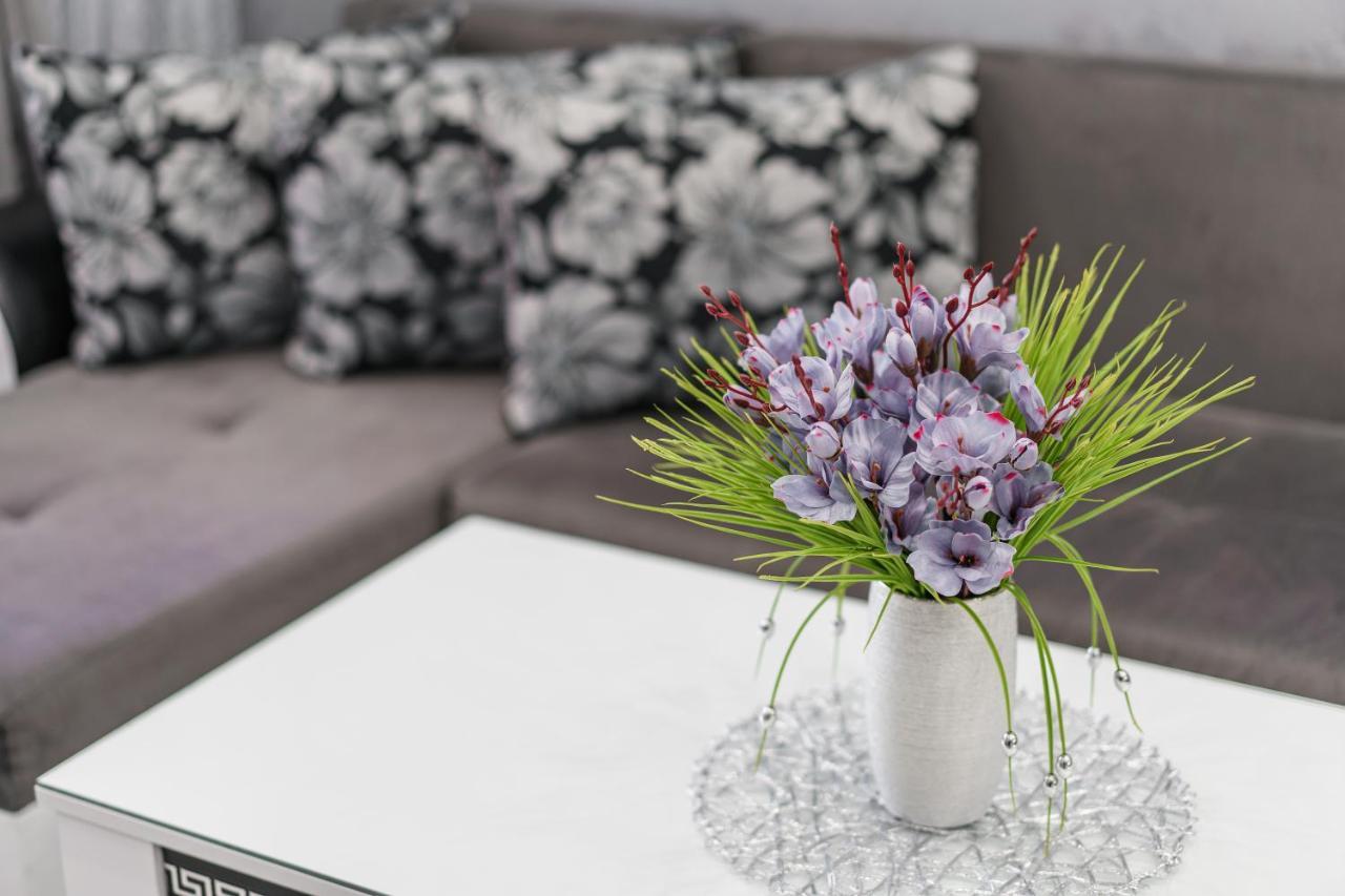 City Apartments - A Brand New Luxury & Comfy 2 Asenovgrad Buitenkant foto